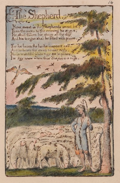 Songs of Innocence and of Experience, Plate 14, The Shepherd (Bentley 5) by William Blake